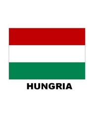 Bandera Hungría 10 x 15 cms. Bandera Hungría 10 x 15 cms.