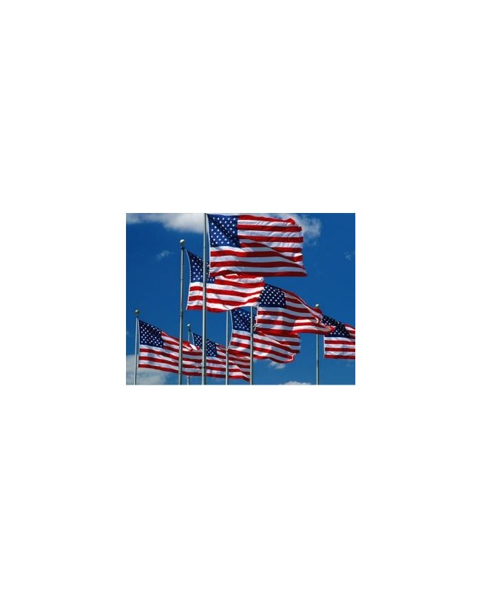 Bandera Estados Unidos exterior