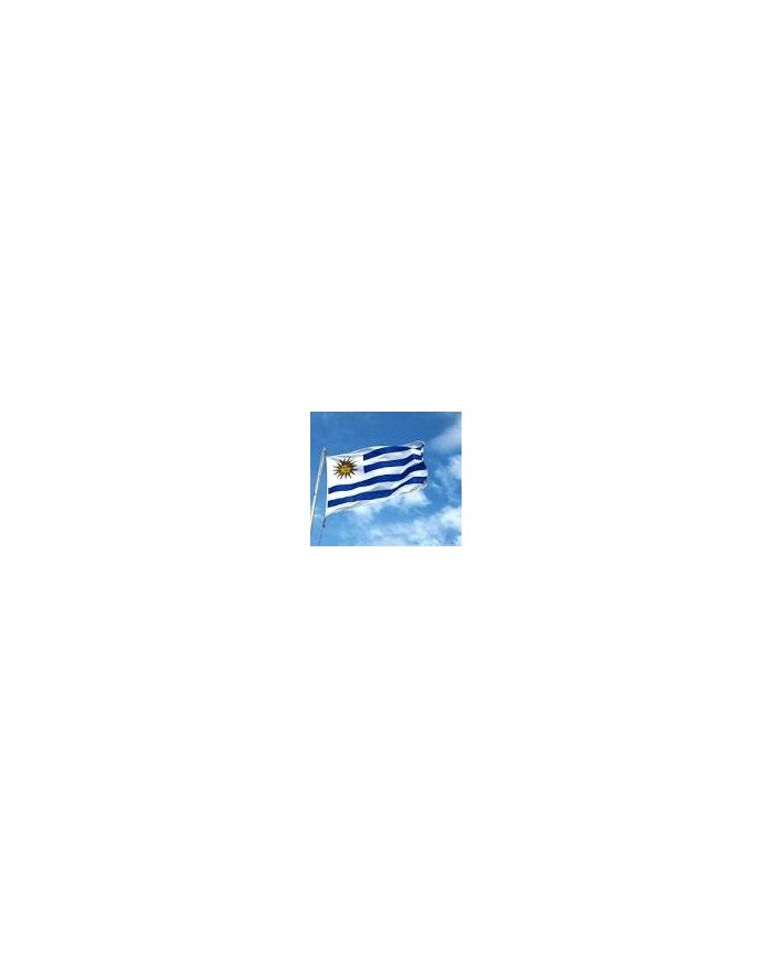 Bandera Uruguay exterior