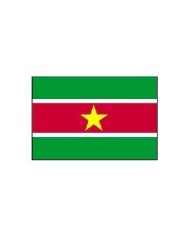 Bandera Surinam exterior