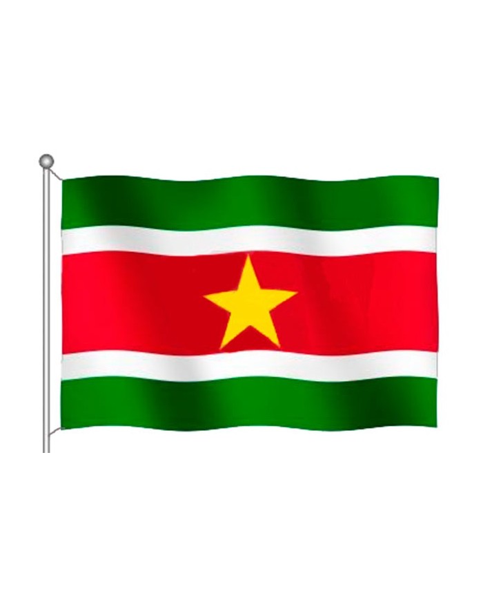 Bandera Surinam 10 x 15 cm.