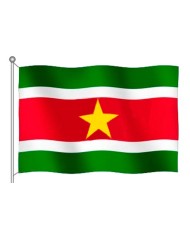 Bandera Surinam 10 x 15 cm.