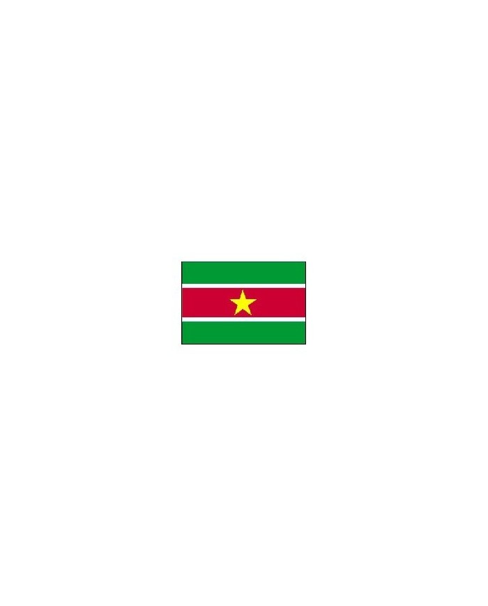 Bandera Surinam 10 x 15 cm.