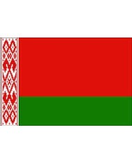 Bandera Bielorrusia 10 x 15 cm. Bandera Bielorrusia 10 x 15 cm.
