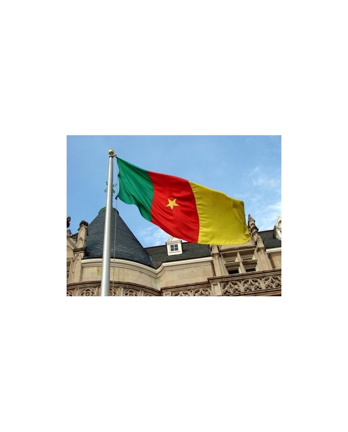 Bandera Camerún exterior Bandera Camerún exterior