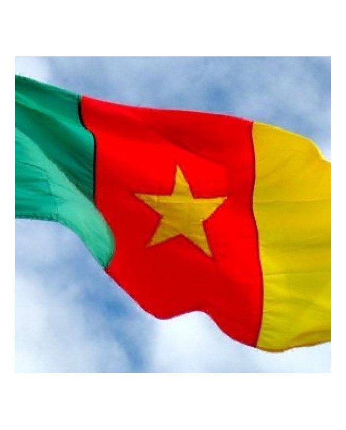 Bandera Camerún exterior Bandera Camerún exterior
