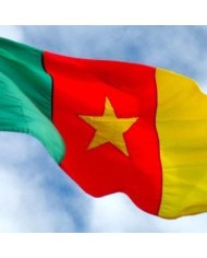Bandera Camerún exterior Bandera Camerún exterior