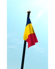 Bandera Chad exterior