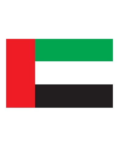 Bandera Emiratos Árabes exterior