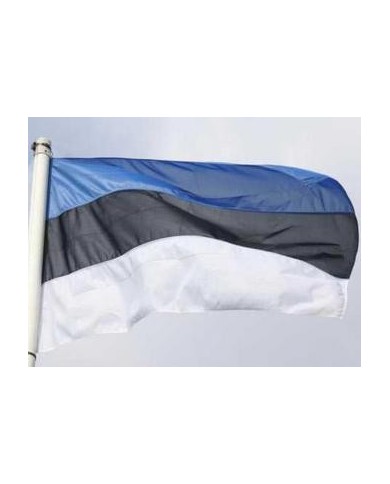 Bandera Estonia exterior Bandera Estonia exterior