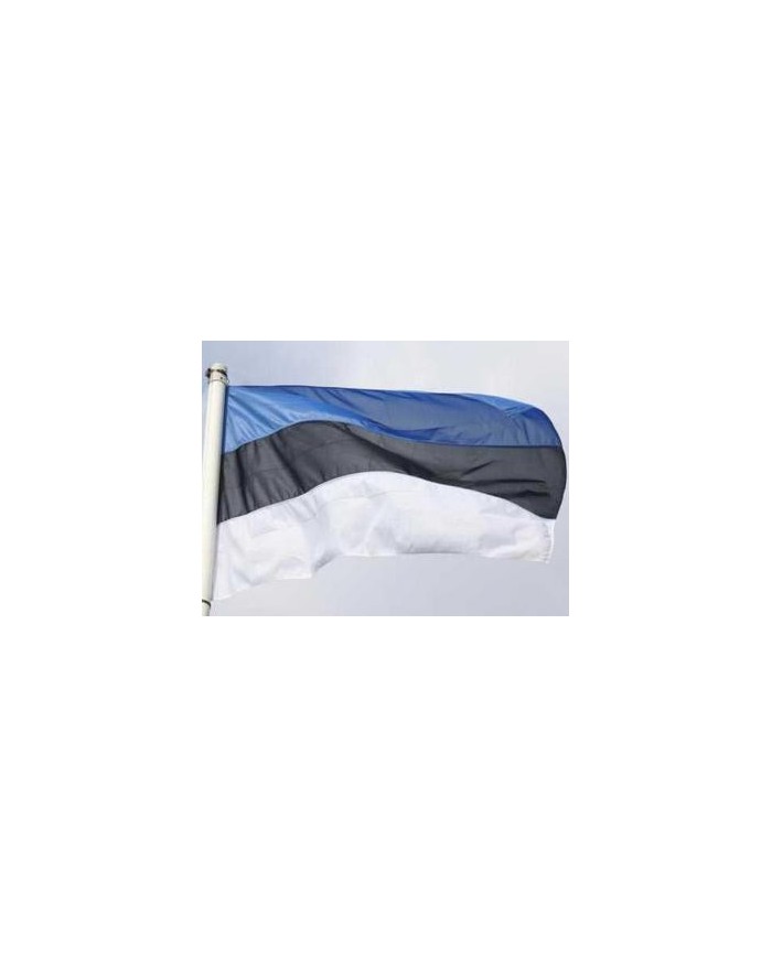 Bandera Estonia exterior