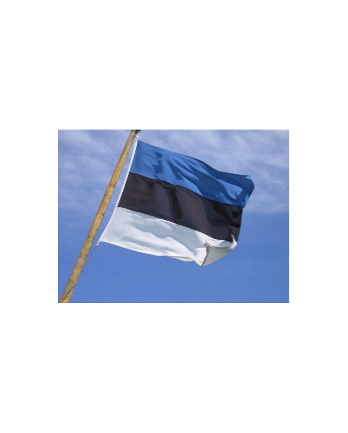 Bandera Estonia exterior