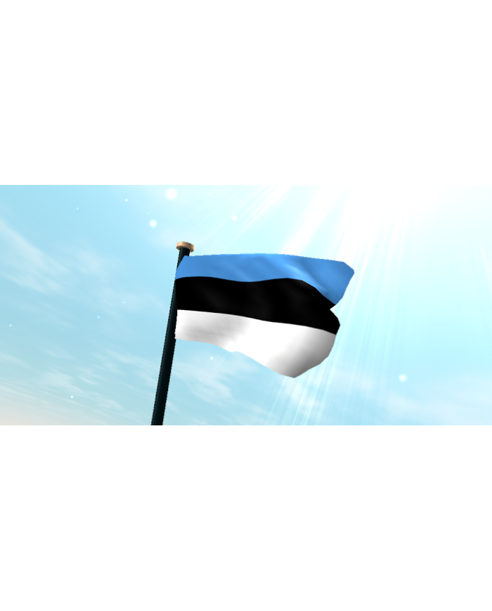 Bandera Estonia exterior