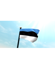 Bandera Estonia exterior