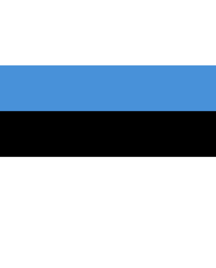 Bandera Estonia exterior