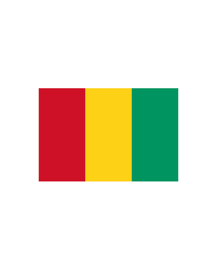 Bandera Guinea exterior