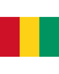 Bandera Guinea 10 x 15 cm.