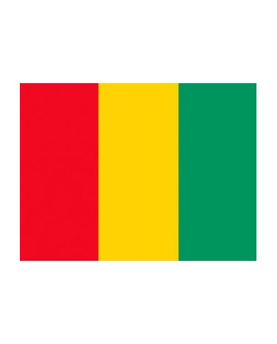 Bandera Guinea 10 x 15 cm.