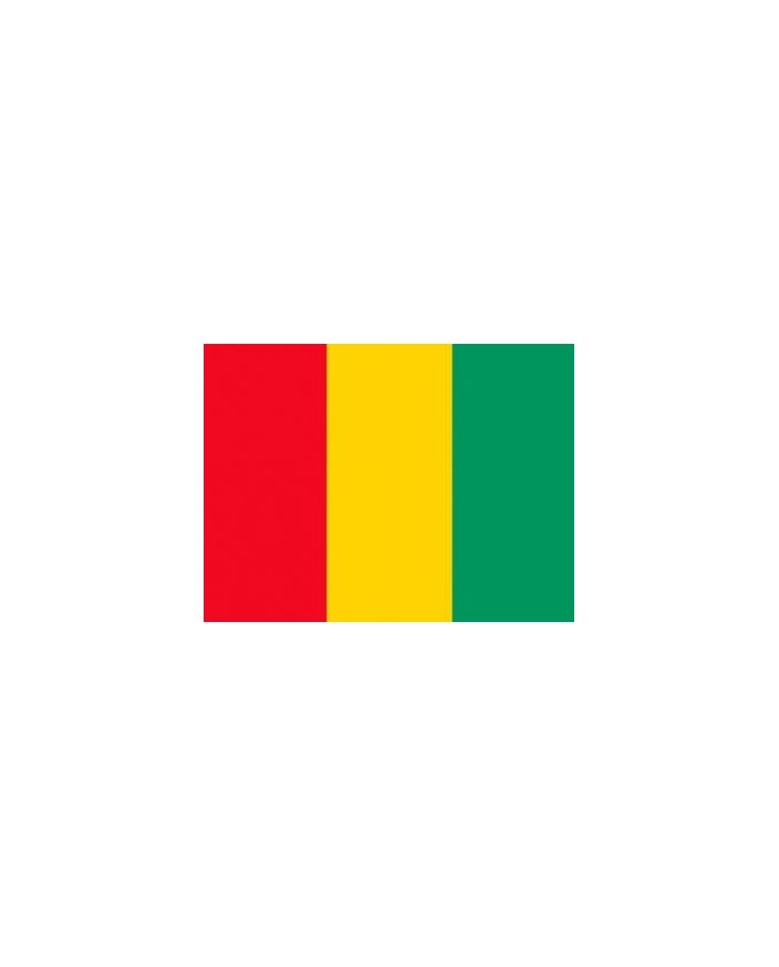 Bandera Guinea 10 x 15 cm.