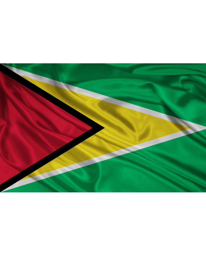 Bandera Guyana exterior