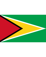 Bandera Guyana 10 x 15 cm. Bandera Guyana 10 x 15 cm.