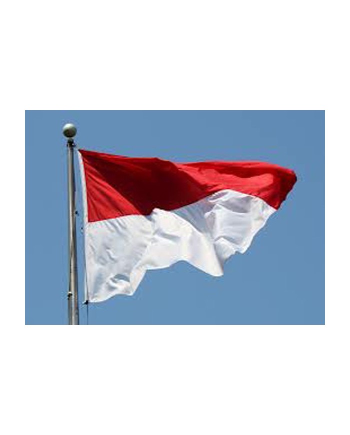 Bandera Indonesia exterior