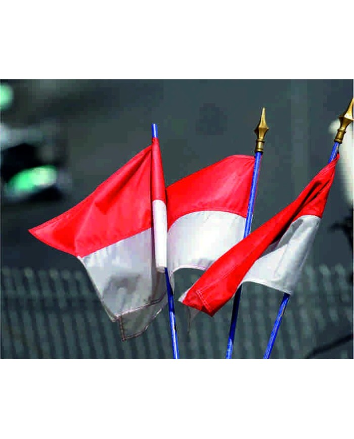 Bandera Monaco exterior