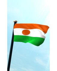 Bandera Níger exterior