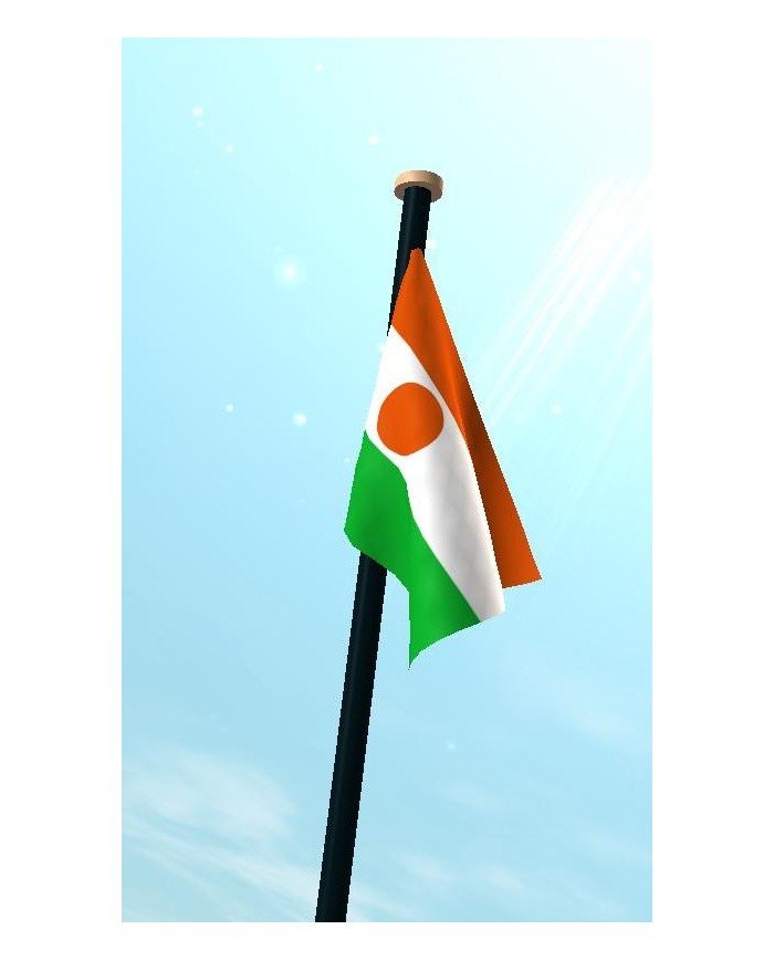 Bandera Níger exterior