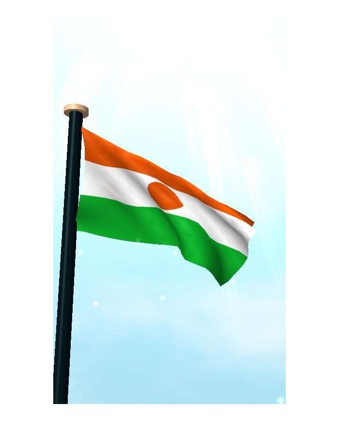 Bandera Níger exterior