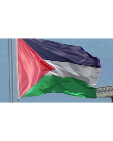 Bandera Palestina exterior