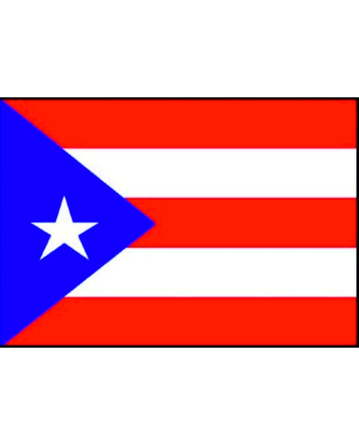 Bandera Puerto Rico 10 x 15 cm.