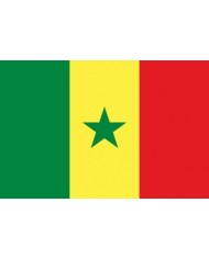 Bandera Senegal exterior Bandera Senegal exterior