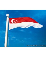 Bandera Singapur exterior