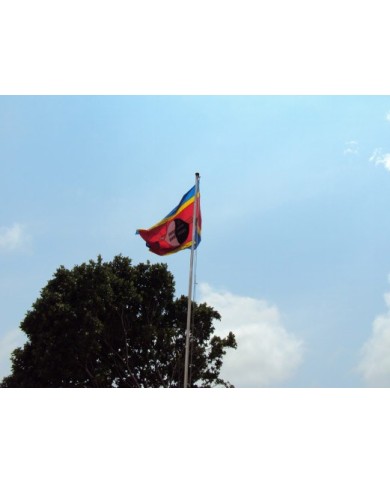 Bandera Swazilandia exterior