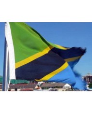 Bandera Tanzania exterior