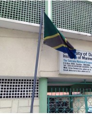 Bandera Tanzania exterior