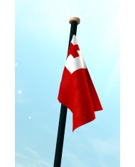 Bandera Tonga exterior