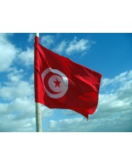 Bandera Túnez exterior