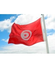 Bandera Túnez exterior