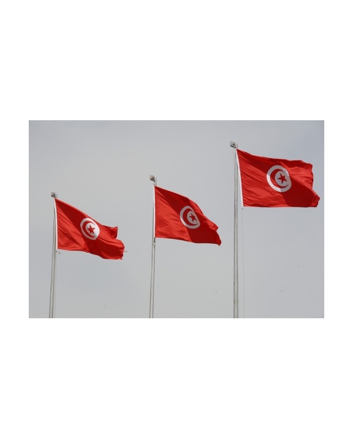 Bandera Túnez exterior