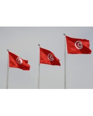 Bandera Túnez exterior