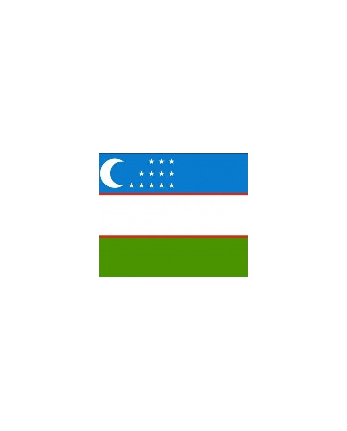 Bandera Uzbekistán exterior