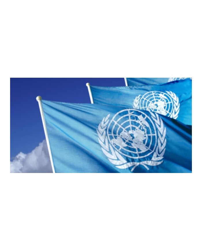 Bandera  Onu Bandera  Onu