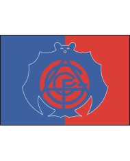 Bandera C.F. Gimnástico Álcazar