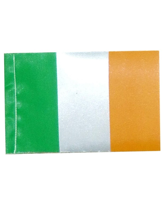 Bandera Irlanda 10 x 15 cms.