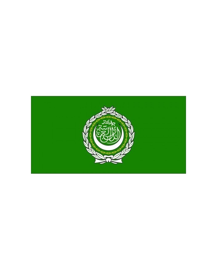 BANDERA LIGA ARABE BANDERA LIGA ARABE