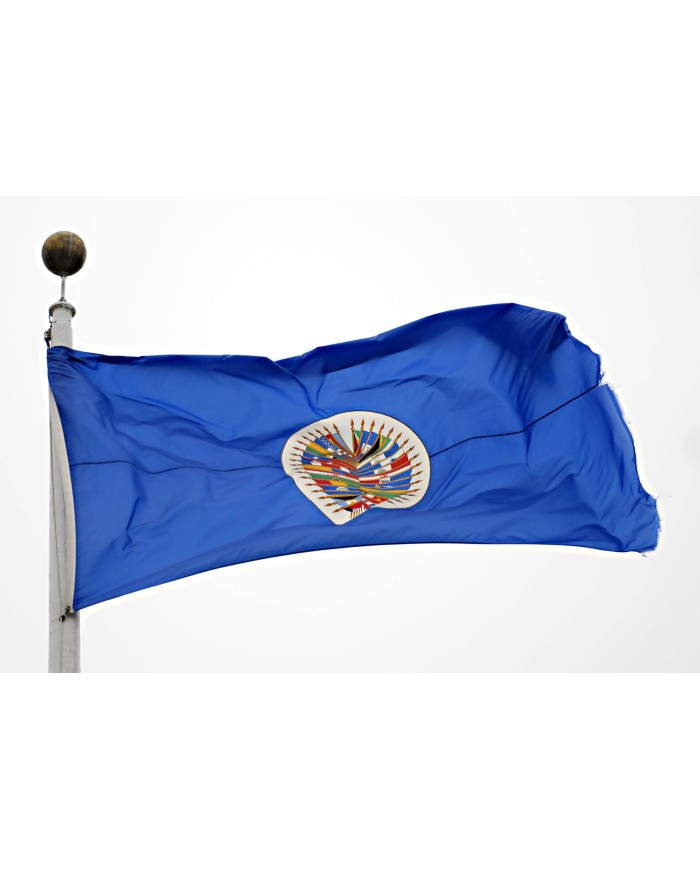 Bandera OEA ( Organización estados americanos ) Bandera OEA ( Organización estados americanos )