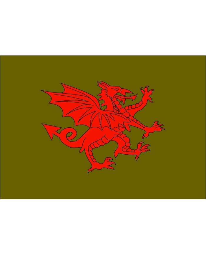 Bandera medieval dragón fondo liso