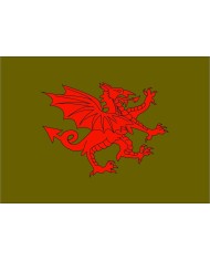 Bandera medieval dragón fondo liso